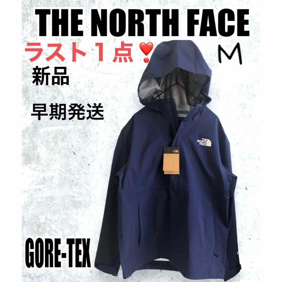 新品⭐️ノースフェイス　ゴアテックスベーシックジャケット　L 韓国限定