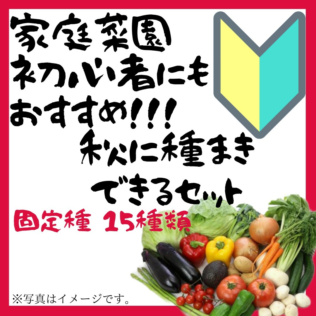 2023年度　初心者でも簡単！秋にまける野菜の種　15種類セット　固定種 その他のその他(その他)の商品写真