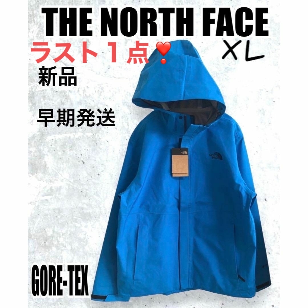 【海外限定】ノースフェイス マウンテンジャケットGORETEX XL