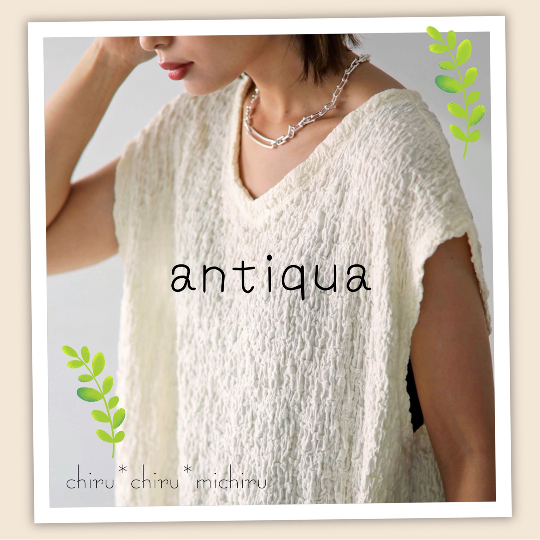 antiqua(アンティカ)のantiqua ふくれジャガード*トップス レディースのトップス(カットソー(半袖/袖なし))の商品写真