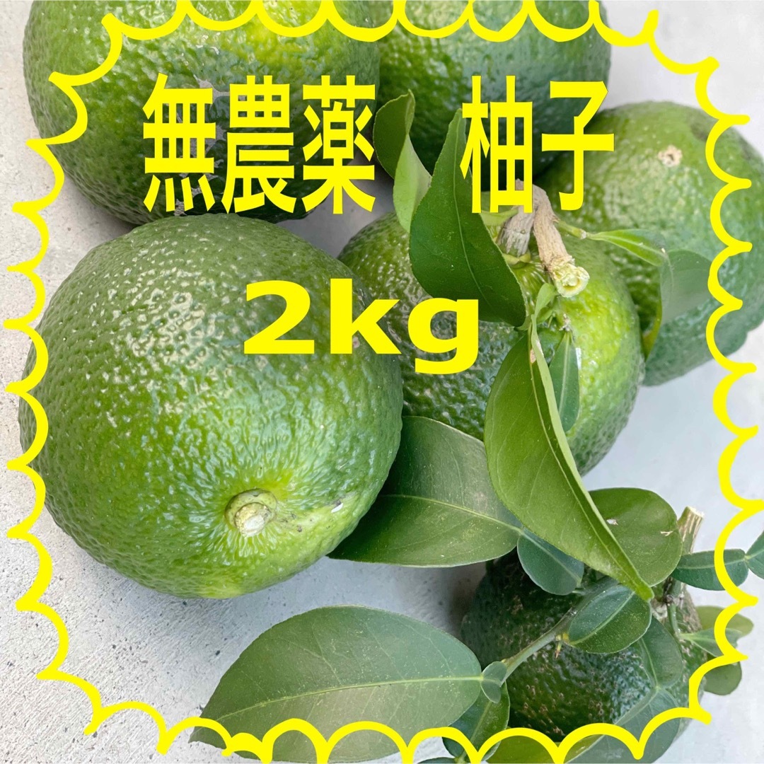 埼玉県産　無農薬　青柚子　柚子　ゆず　2キロ 食品/飲料/酒の食品(フルーツ)の商品写真