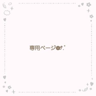 『100粒以上』かすみ草 ドライフラワー💐(ドライフラワー)