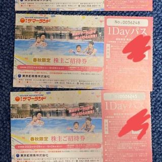東京サマーランド　2枚(遊園地/テーマパーク)