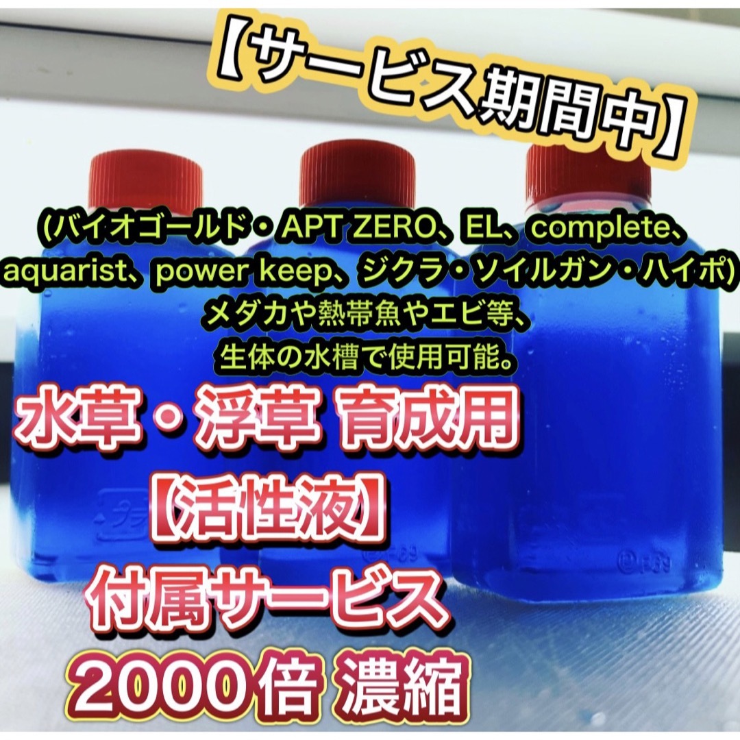 水草 浮草 ６種セット メダカ ビオトープ 熱帯魚 金魚 めだか 稚魚 その他のペット用品(アクアリウム)の商品写真