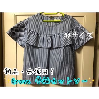 グローブ(grove)の新品・未使用 grove 半袖ストライプカットソー ○＊毎日郵送致します＊○(カットソー(半袖/袖なし))