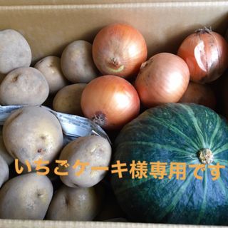 いちごケーキ様専用です！(野菜)