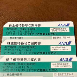 エーエヌエー(ゼンニッポンクウユ)(ANA(全日本空輸))の ANA 株主優待　11/30まで(航空券)