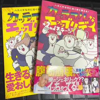 へたくそなのに泣くほど笑える！カッラフルなエッッブリデイ ２冊セット(その他)