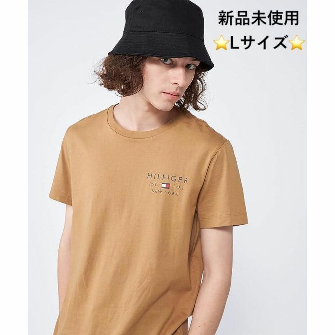 TOMMY HILFIGER(トミーヒルフィガー)の⭐️新品⭐️ スモールロゴTシャツ ブラウン Lサイズ　MW30033 メンズのトップス(Tシャツ/カットソー(半袖/袖なし))の商品写真