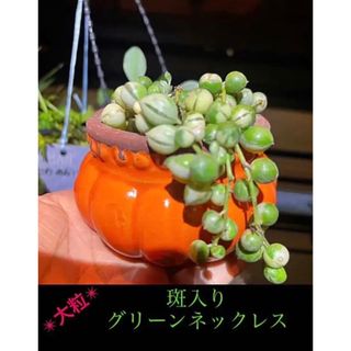 草刈り機 充電式 ナイロンカッター コードレス 草刈機 庭掃除 芝生 481