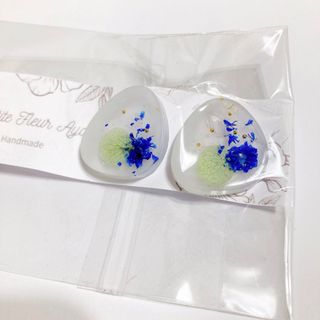 樹脂ピアス　おまけつき！(ピアス)