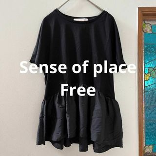 センスオブプレイスバイアーバンリサーチ(SENSE OF PLACE by URBAN RESEARCH)のSense of place アーバンリサーチ　切り替えギャザートップス　半袖(Tシャツ(半袖/袖なし))