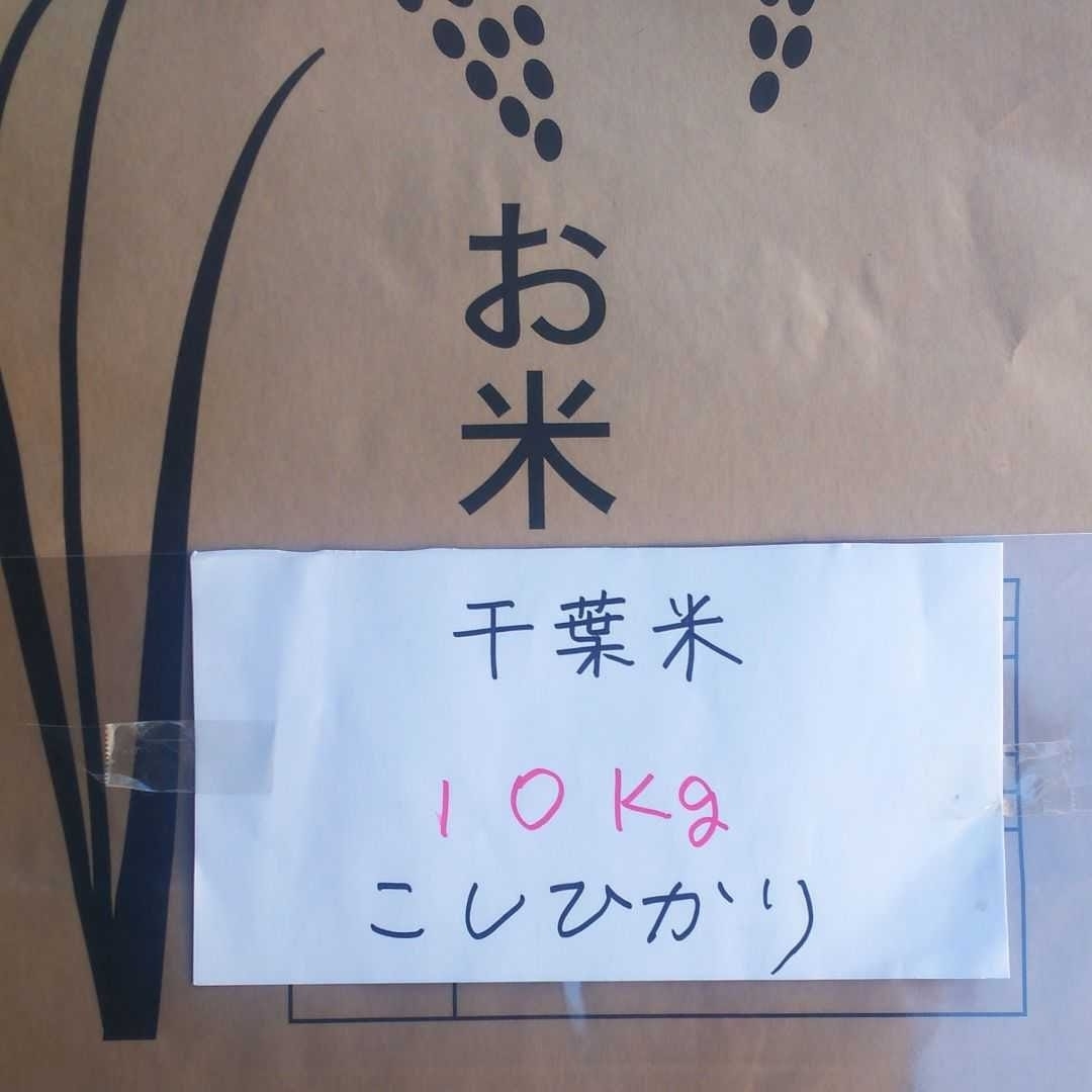 千葉県産 令和5年コシヒカリ10kg精米 減農薬栽培