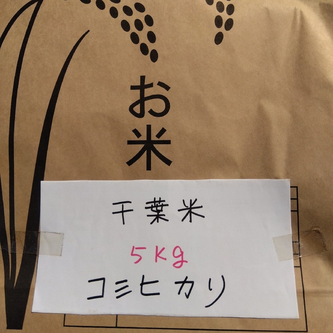 令和５年 新米 千葉県産「粒すけ」２４.５Kg 体に優しい減農薬米 農家