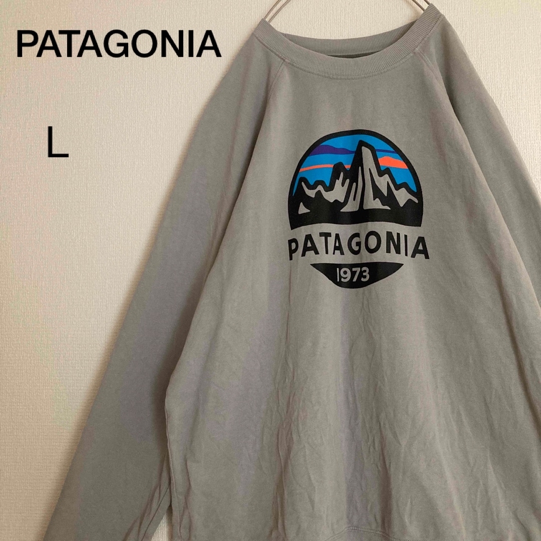 patagoniaパタゴニアスウェットプルオーバービックセンターロゴプリント-