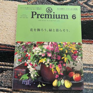 マガジンハウス(マガジンハウス)の&Premium (アンド プレミアム) 2021年 06月号 雑誌(住まい/暮らし/子育て)