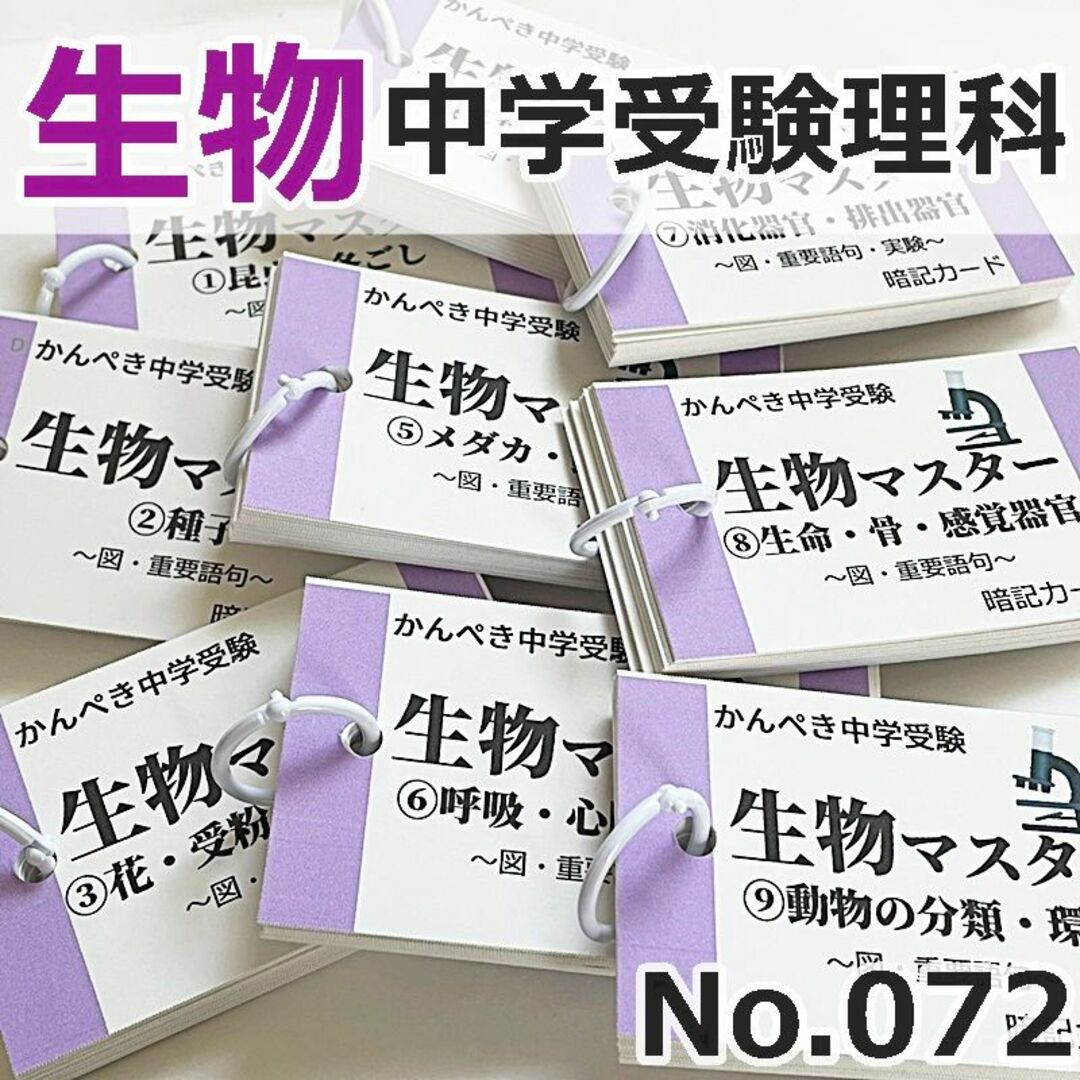 値下げ【100】中学受験　算数・国語・理科・社会　暗記カードセット　参考書問題集 8