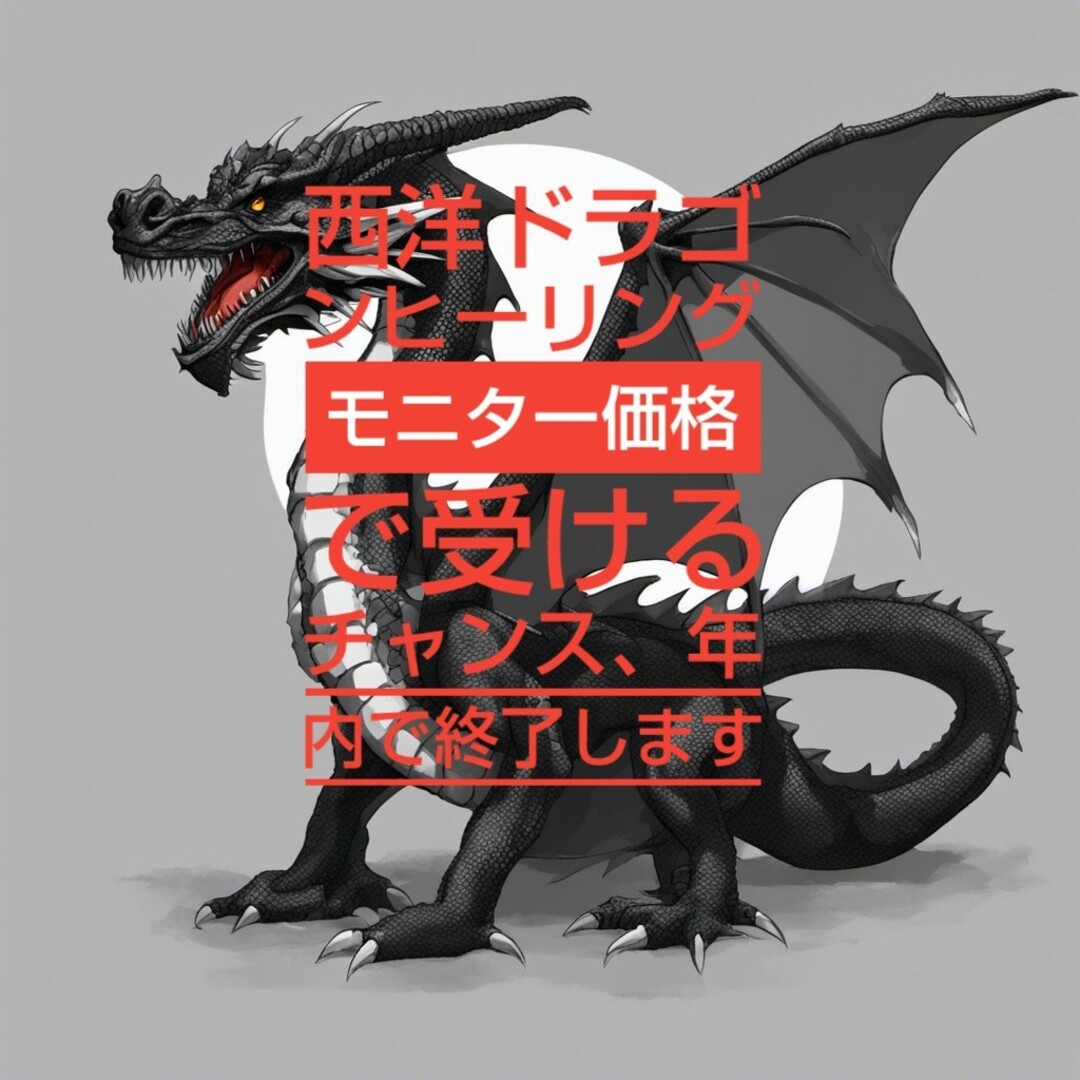 モニター募集❗️ 守護龍ドラゴンヒーリング年内で終了します。お早めに❗️