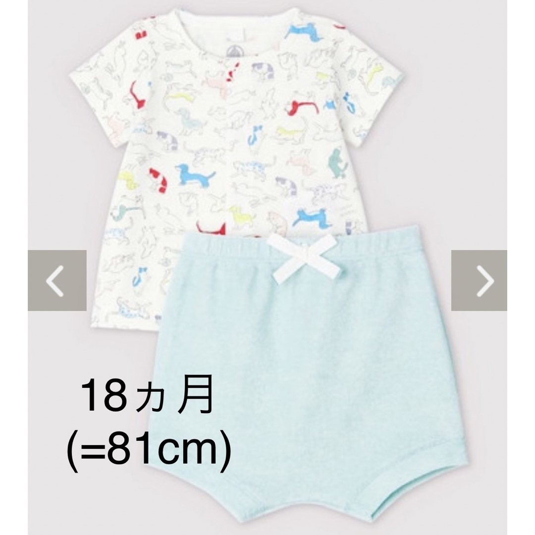 PETIT BATEAU(プチバトー)の【新品】プチバトー  2ピース　Tシャツ　ショートパンツ キッズ/ベビー/マタニティのベビー服(~85cm)(パジャマ)の商品写真