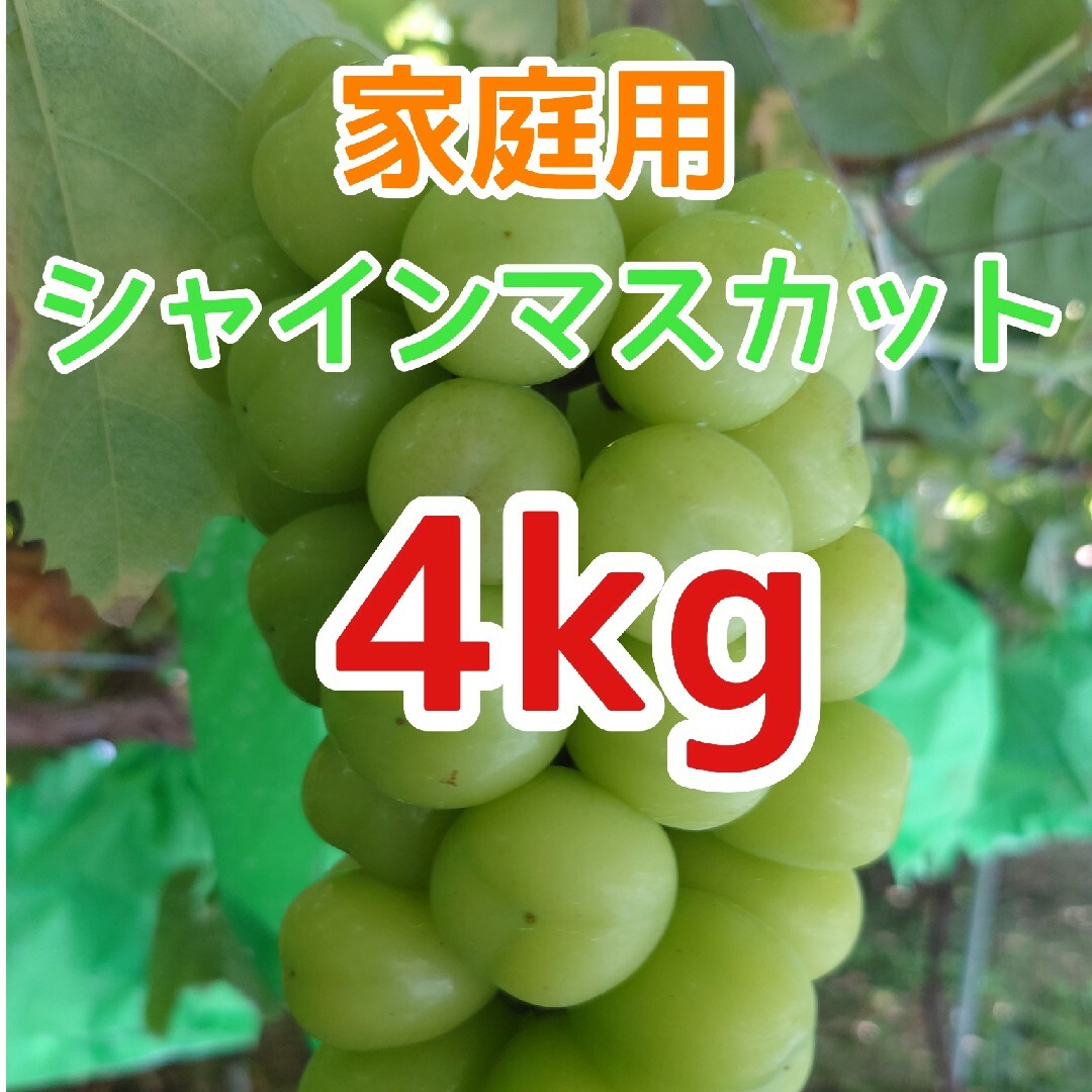 食品/飲料/酒シャインマスカット　箱込み4kg 種無しぶどう　良品　家庭用