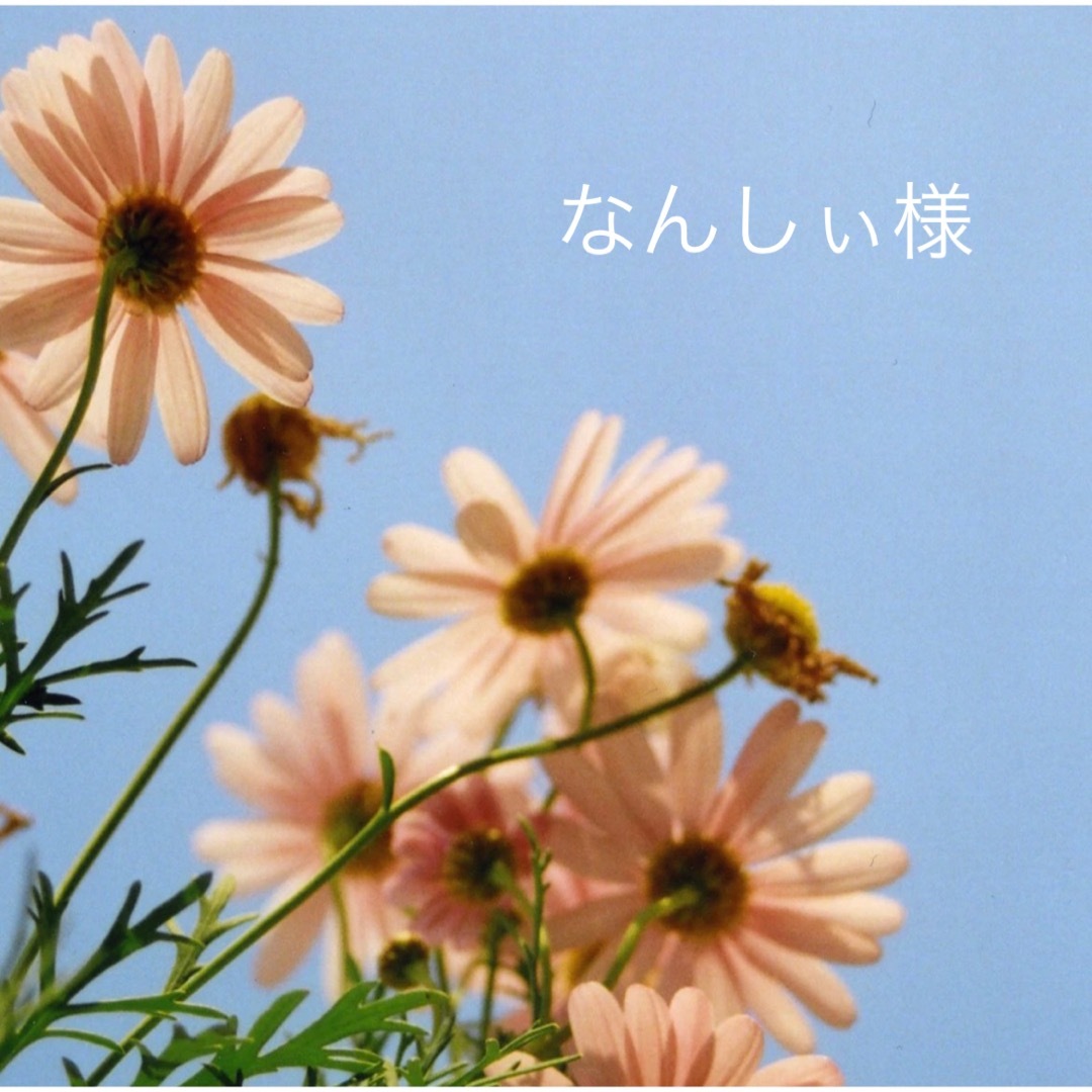 なんしぃ様専用ページ | フリマアプリ ラクマ