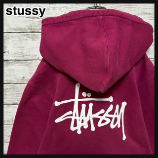 ステューシー(STUSSY)の547【即完売モデル】ステューシー☆バックビッグロゴ　最高デザイン　パーカー美品(パーカー)