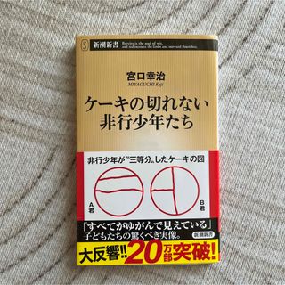 ケーキの切れない非行少年たち(その他)