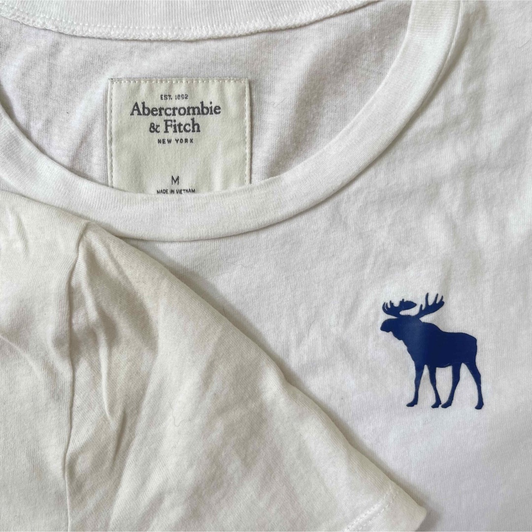 Abercrombie&Fitch Tシャツ4枚セット