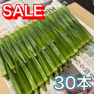 高知県産オクラ　新鮮おくら　即購入OK 産地直送　野菜30dmag(野菜)