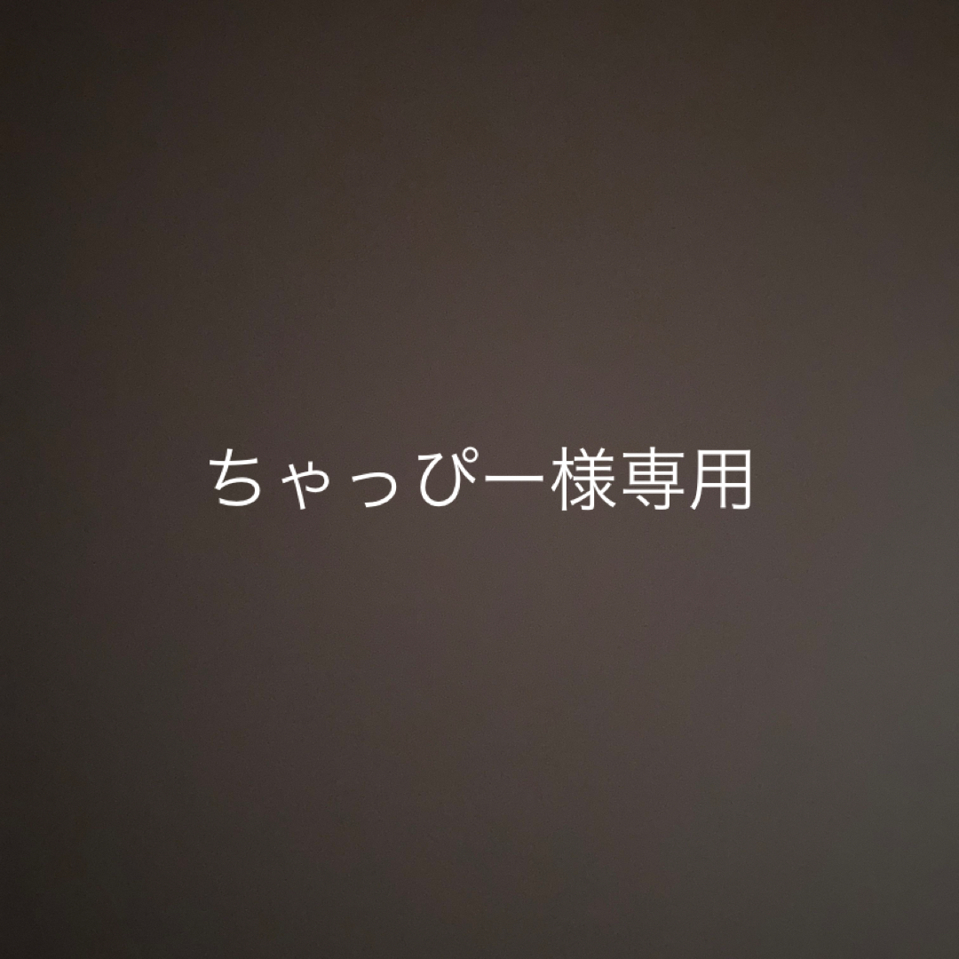 専用です。