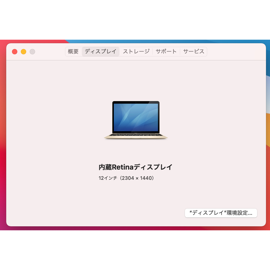 MacBook 2015 12inch CoreM/メモリ8/SSD500