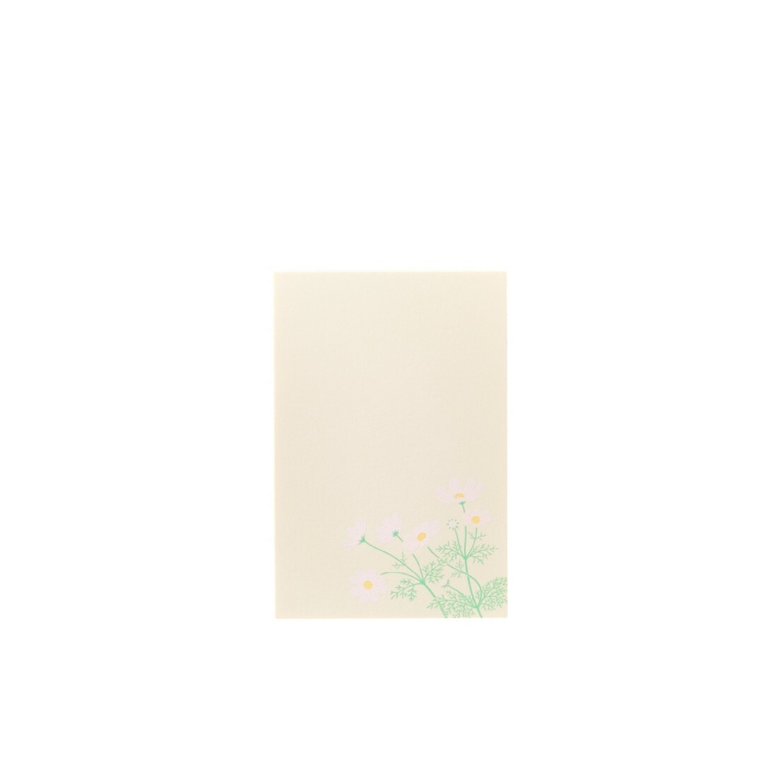 シルク刷はがき 夏椿カード/レター/ラッピング