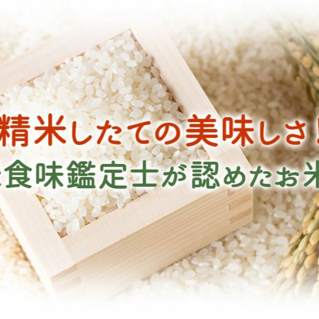 検査一等の通販　10kg　味覚's　送料無料　by　ミルキークイーン　令和4年福井県産　5kg×2　米　shop｜ラクマ