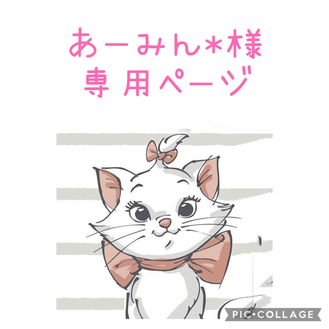 あーみん*さま専用ページ