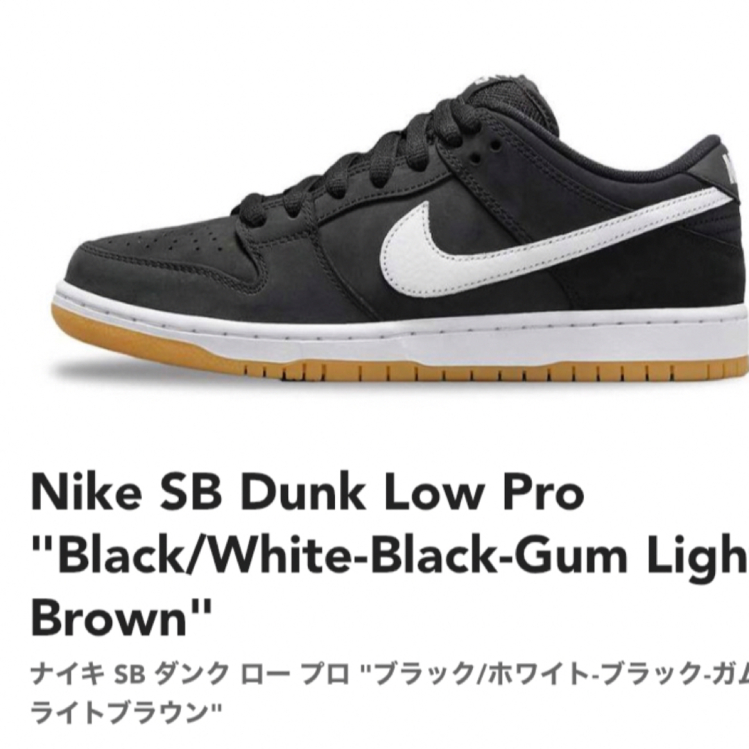 nike sb dunk low pro ナイキ　ダンク ロウ　27cm