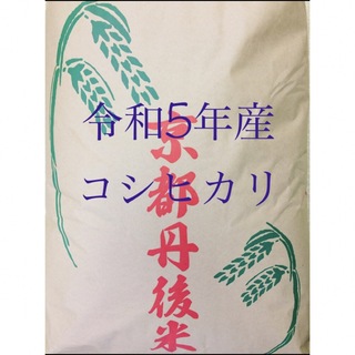 コシヒカリ伊勢の米 令和5年収穫 三重県産コシヒカリ 玄米30キロ - 米