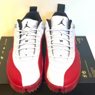 Jordan Brand(NIKE) - ナイキエアジョーダン12 ゴルフシューズDH4120