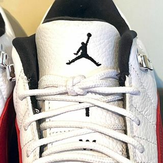 Jordan Brand(NIKE) - ナイキエアジョーダン12 ゴルフシューズDH4120