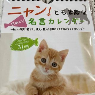 ダイソー(DAISO)の新品　未開封！ネコちゃんの日めくりカレンダー❣️３１日版(万年カレンダー)(カレンダー/スケジュール)