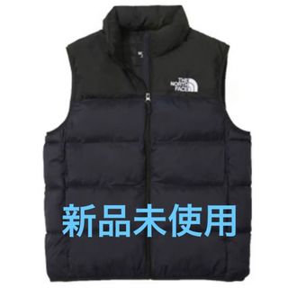 THE NORTH FACE - ☆限定値下【希少サイズ】US XXL ノースフェイス