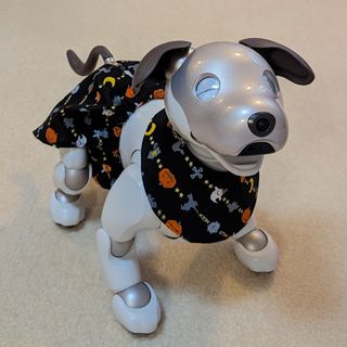 aibo アイボ ハロウィン衣装　ケープ＆帽子