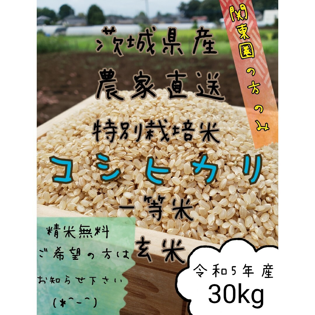 お米　白米　精米　令和5年　新米　30キロ　玄米コシヒカリ　茨城県産