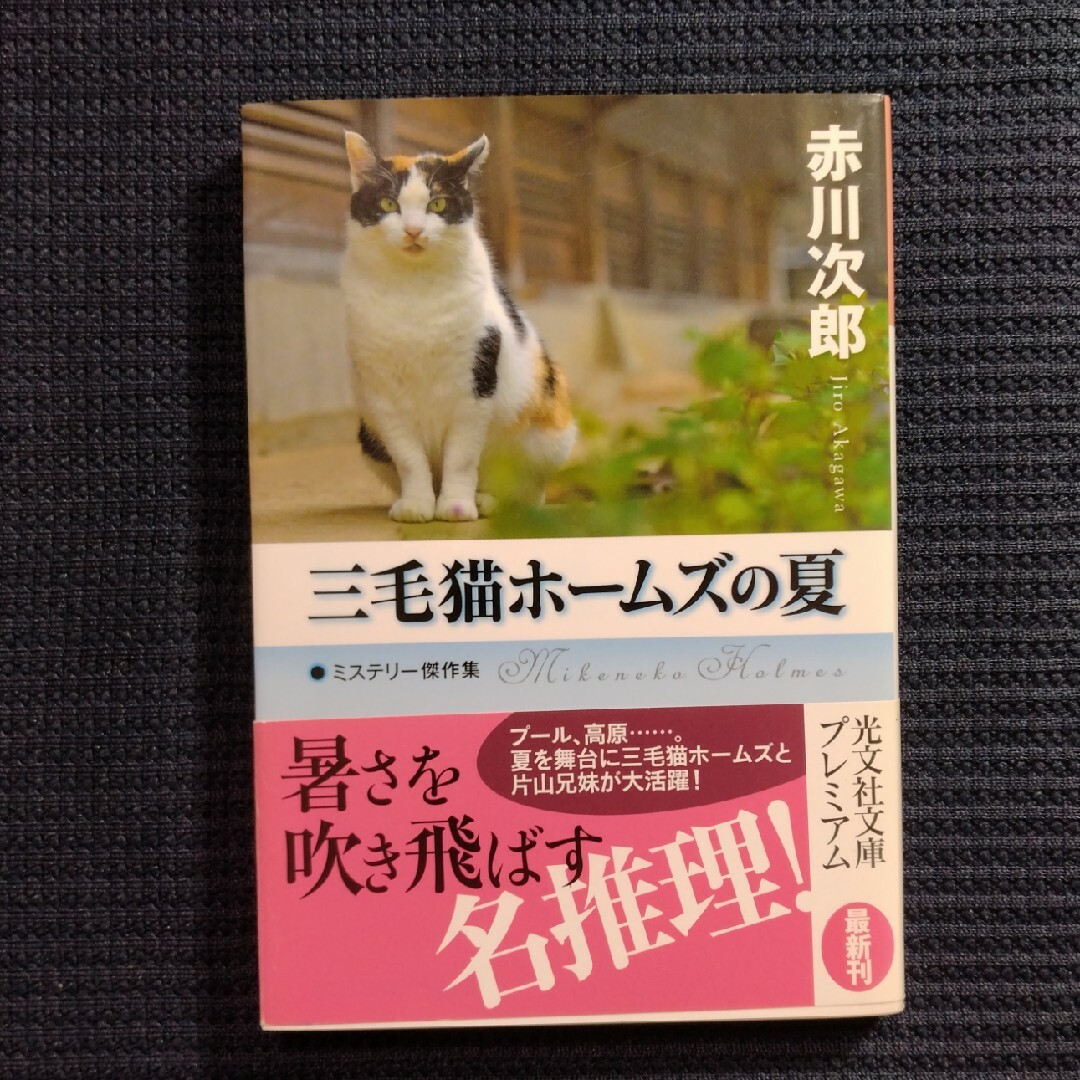 光文社(コウブンシャ)の三毛猫ホームズの夏 ミステリー傑作集 エンタメ/ホビーの本(その他)の商品写真