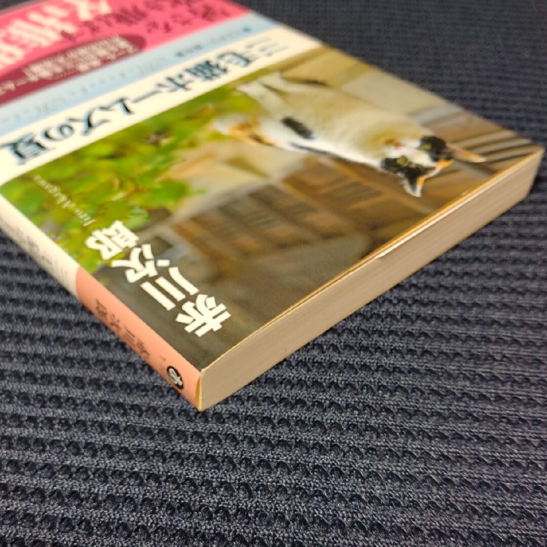 光文社(コウブンシャ)の三毛猫ホームズの夏 ミステリー傑作集 エンタメ/ホビーの本(その他)の商品写真