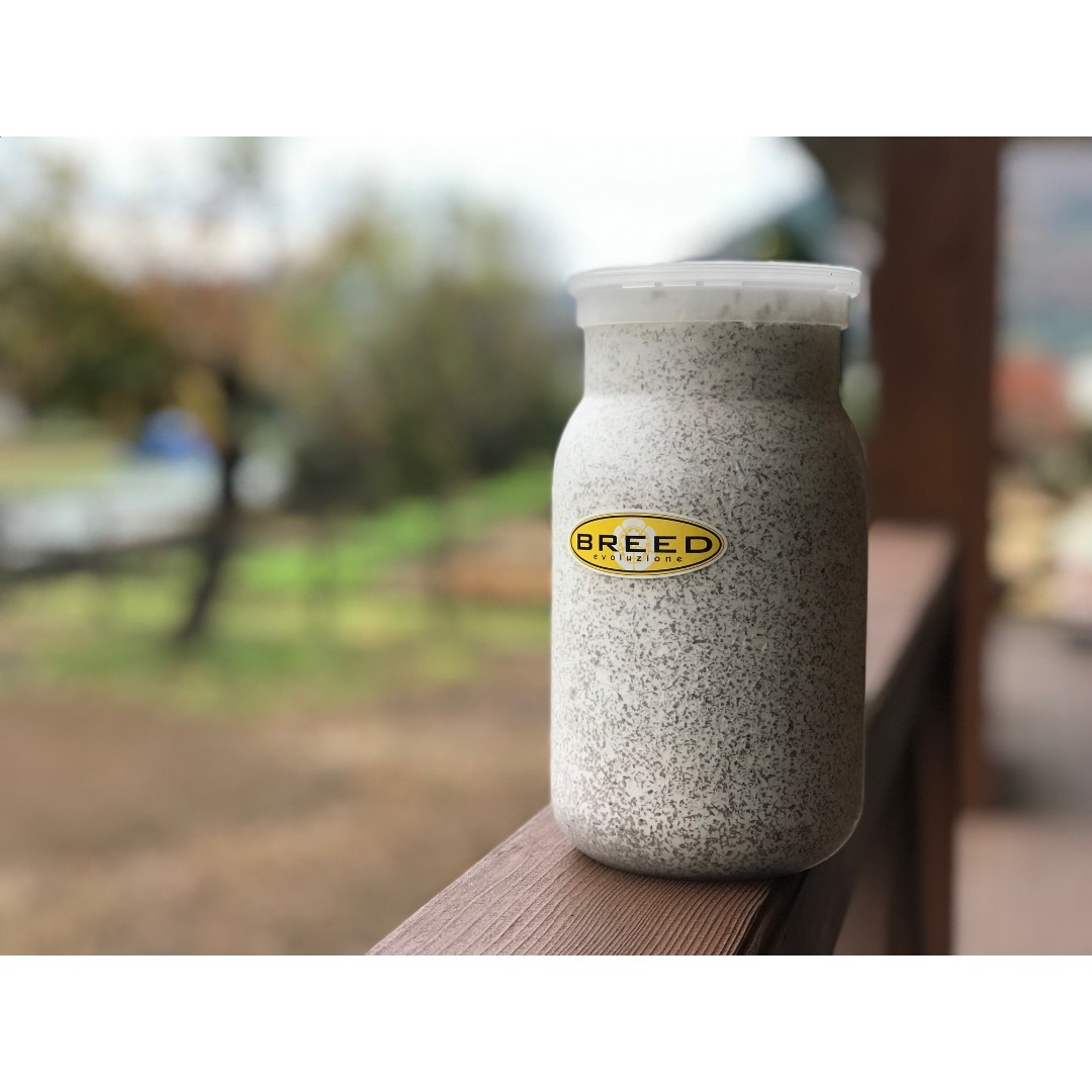 大型・美形クワガタ飼育用 BREED菌糸ビン 1100ml 15本セット/菌糸瓶-