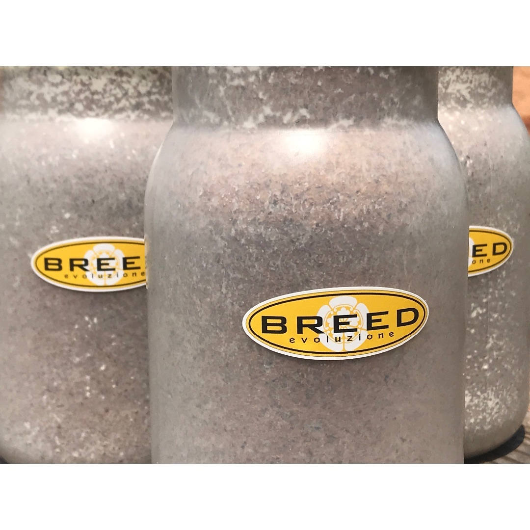 大型・美形クワガタ飼育用　BREED菌糸ビン　1100ml　5本セット　菌糸瓶