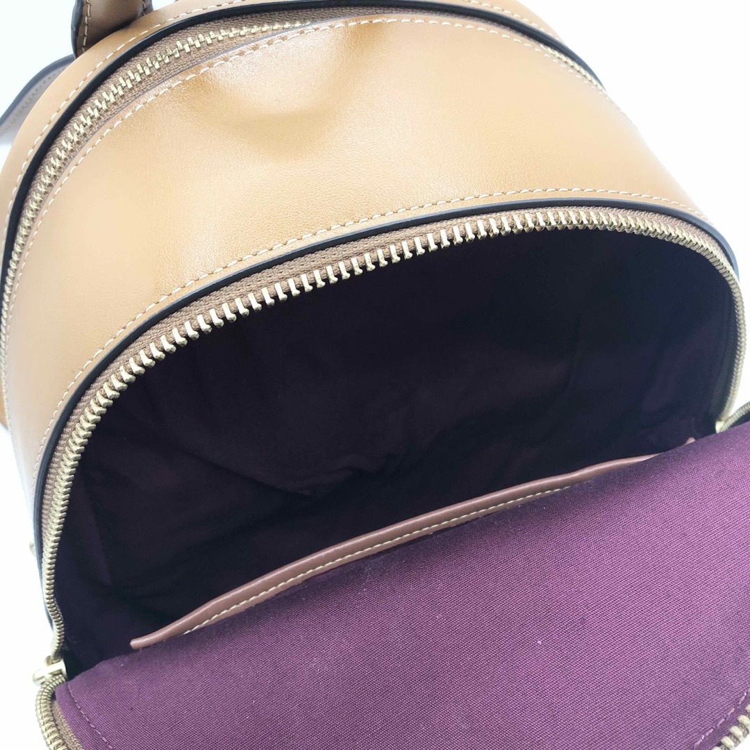 COACH - 【COACH☆新品】キャリー バックパック!レインボー