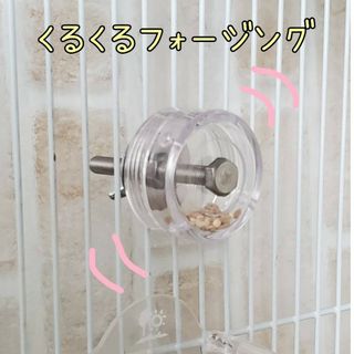 バードトイ　くるくるフォージング♡　インコ　おもちゃ(鳥)