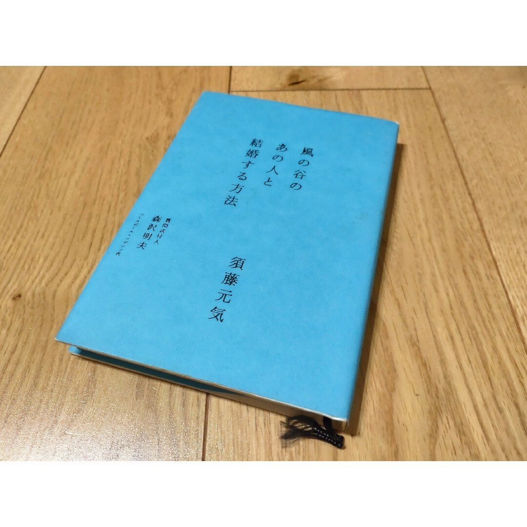 風の谷のあの人と結婚する方法 須藤元気 エンタメ/ホビーの本(人文/社会)の商品写真