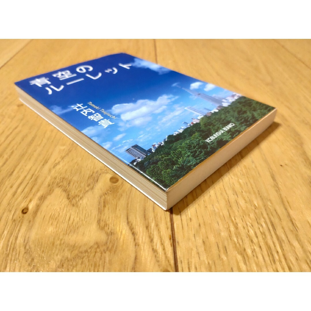 小説 青空のルーレット 辻内智貴 エンタメ/ホビーの本(文学/小説)の商品写真